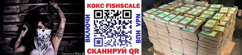 КОКАИН Эквадор мега как войти Менделеевск