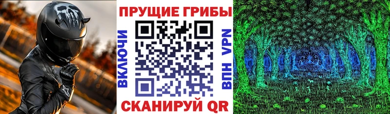 цены наркотик  Менделеевск  гидра ССЫЛКА  Псилоцибиновые грибы ЛСД 